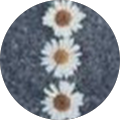 Ana García profile picture